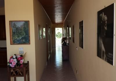Casa Vacanze Residence Villa Con Piscina Plemmiro